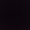 foto do perfil aryannycdzinha